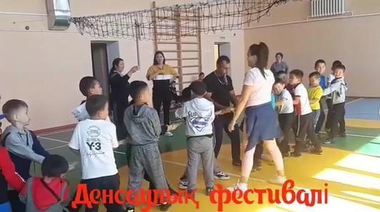 Денсаулық фестивалі